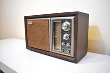 Load image into Gallery viewer, Bluetooth Ready To Go - 1975-1977 Sony Model ICF-9550W AM/FM Solid State Transistor Radio Sounds Fantastic! Sony Only!