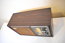 Load image into Gallery viewer, Bluetooth Ready To Go - 1975-1977 Sony Model ICF-9550W AM/FM Solid State Transistor Radio Sounds Fantastic! Sony Only!