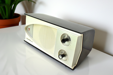 時代遅れ™ – Retro Radio Farm