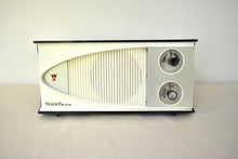 Load image into Gallery viewer, Bluetooth Ready To Go - Black White 1960 Truetone Model 2172 Vacuum Tube Radio Sound and Looks Great!