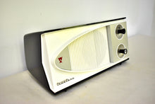 Load image into Gallery viewer, Bluetooth Ready To Go - Black White 1960 Truetone Model 2172 Vacuum Tube Radio Sound and Looks Great!