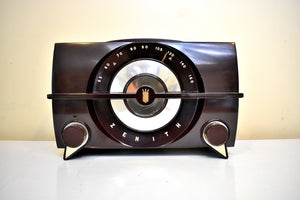 Umber Brown 1954 Zenith Model Y615 AM Vacuum Tube Radio Excellent Condition! Monster Sound!