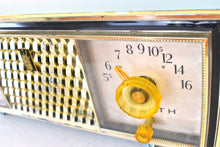 Charger l&#39;image dans la galerie, Diamond Blue 1960 Zenith Model C520B &#39;The Saxony&#39; Vacuum Tube AM Clock Radio Excellent Condition! Sounds Great!
