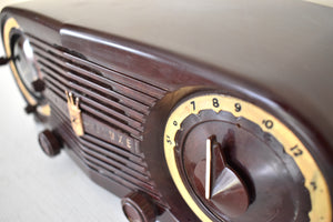 Espresso Brown 1952 Zenith Owl Eyes Model J616 AM Vacuum Tube Radio Great Sounding! Excellent Condition!