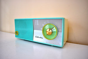 Silver and Aqua 1959 Silvertone Model Unknown Vacuum Tube FM Only Radio Sounds Terrific! Excellent Condition!