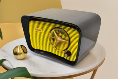 Bumble Bee Beauty 1959 Travler Model T-203 AM Vacuum Tube Radio Cute As A Button! Sounds Awesome!