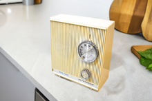 Load image into Gallery viewer, Bluetooth Ready To Go - Puff White 1966 Jetstream Model 6411 AM Solid State Transistor Radio! How Fun!