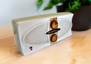 Bluetooth Ready To Go - Mint Green 1959 Truetone D2082A Tube AM Radio Rare Mid Century Beauty! Sounds Great!