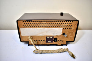Bluetooth 準備完了 - ナツメグ ブラウン 1966 ゼネラル エレクトリック モデル C-547 真空管 AM ラジオ目覚まし時計 素晴らしい状態です。いいね！