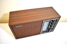 Load image into Gallery viewer, Sony Only! 1975-1977 Sony Model TFM-9440W AM/FM Solid State Transistor Radio Sounds Great!