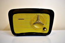 Load image into Gallery viewer, Bumble Bee Yellow and Black 1959 Hallicrafters Model HT203 Vacuum Tube AM Radio Sounds Terrific! So Cute!