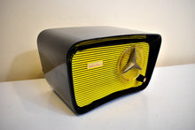 Charger l&#39;image dans la galerie, Bumble Bee Yellow and Black 1959 Hallicrafters Model HT203 Vacuum Tube AM Radio Sounds Terrific! So Cute!