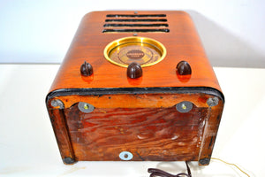 World War Post Depression Era 1937 Crosley "Fiver"  Model 517 Vacuum Tube AM Radio True Historic Beauty! - [product_type} - Crosley - Retro Radio Farm