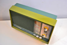 Load image into Gallery viewer, AM FM Olive Green and Grey Blue 1962 Magnavox &quot;Park Avenue&quot; Model FM042 Vacuum Tube Radio Loud Clear Sounding! - [product_type} - Magnavox - Retro Radio Farm