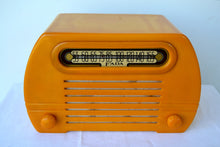 Load image into Gallery viewer, Gorgeous Golden Catalin 1945 Fada Temple Model 652 AM Radio, Pure Gold! - [product_type} - Fada - Retro Radio Farm