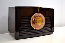 Charger l&#39;image dans la galerie, Arabica Brown Vintage 1949 RCA Victor Model 8X541 AM Vacuum Tube Radio Popular Model In Its Day and Today! - [product_type} - RCA Victor - Retro Radio Farm