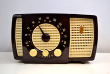 Load image into Gallery viewer, Savanna Brown and White 1955 Zenith Y723 AM/FM Tube Radio Gorgeous and Sounds Magnifico! - [product_type} - Zenith - Retro Radio Farm