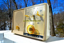 Load image into Gallery viewer, SOLD! - June 29, 2018 - SANDALWOOD Beige and White 1959 Philco Model K782-124 AM Tube Clock Radio Totally Restored! - [product_type} - Philco - Retro Radio Farm