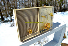 Charger l&#39;image dans la galerie, SOLD! - June 29, 2018 - SANDALWOOD Beige and White 1959 Philco Model K782-124 AM Tube Clock Radio Totally Restored! - [product_type} - Philco - Retro Radio Farm