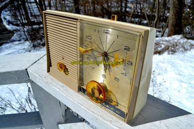 SOLD! - June 29, 2018 - SANDALWOOD Beige and White 1959 Philco Model K782-124 AM Tube Clock Radio Totally Restored!