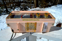 画像をギャラリービューアに読み込む, SOLD! - June 23, 2018 - ROSATA PINK and Brown Mid Century Retro Vintage 1964 Arvin Model 52R43 AM Tube Clock Radio Rare! - [product_type} - Arvin - Retro Radio Farm