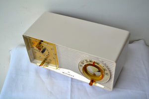 White Linen Beige 1963 Motorola Model C9P1-2 Tube AM Clock Radio Excellent Player! - [product_type} - Motorola - Retro Radio Farm