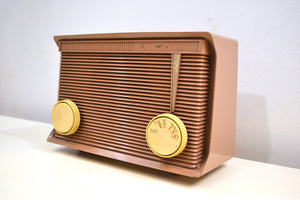 Sandy Beige Tan 1959 Motorola Model A7N-62 Vacuum Tube AM Radio Sounds Wonderful! - [product_type} - Motorola - Retro Radio Farm