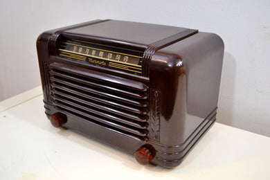 Cappuccino Bakelite 1946 Motorola Model 65X-11A Vintage Vacuum Tube AM Radio Deco Beauty!