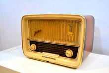 Load image into Gallery viewer, German Mid Century Vintage 1960 Telefunken Jubilate Model 5061 AM FM Shortwave Vacuum Tube Radio Sounds Like A Champ! - [product_type} - Telefunken - Retro Radio Farm