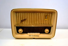 Load image into Gallery viewer, German Mid Century Vintage 1960 Telefunken Jubilate Model 5061 AM FM Shortwave Vacuum Tube Radio Sounds Like A Champ! - [product_type} - Telefunken - Retro Radio Farm