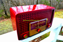 Load image into Gallery viewer, SOLD! - Apr 14, 2018 - BLUETOOTH MP3 UPGRADE ADDED - CRANBERRY RED Mid Century Retro Vintage 1955 RCA Victor Model 5X-564 AM Tube Radio Great Sounding! - [product_type} - RCA Victor - Retro Radio Farm