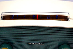Nautilus Blue and White Vintage 1951-1952 Motorola Model 52X12U Vacuum Tube AM Radio Beautiful Sounding! - [product_type} - Motorola - Retro Radio Farm