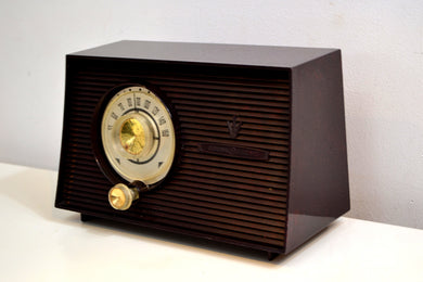 Mahogany Swirl 1956-1958 General Electric Model 875 AM Vacuum Tube Radio Budget Blaster!