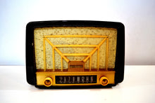 Load image into Gallery viewer, SOLD! - May 8, 2019 - Lustrous Brown and Boucle Grill Vintage 1950s Westinghouse H-327T60 AM Radio Looks Snazzy! - [product_type} - Westinghouse - Retro Radio Farm