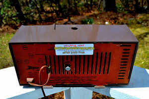 SOLD! - Mar 8, 2019 - Walnut Brown 1964 Zenith Model L513C Tube AM Clock Radio Works Great! - [product_type} - Zenith - Retro Radio Farm