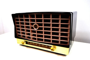 SOLD! - Feb. 8, 2020 - Glorious Black Vintage 1953 RCA Victor 6-XD-5 Tube Radio Excellent Condition Works Great! - [product_type} - RCA Victor - Retro Radio Farm