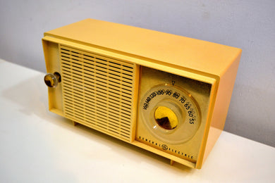 Scrimshaw Bone Ivory Vintage 1959 General Electric Model T-129C Tube Radio Nice Sounding Nice Looking!