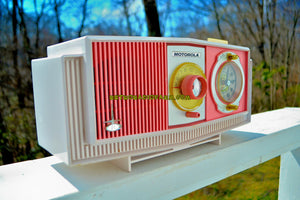 SOLD! - June 3, 2018 - PRETTY IN PINK Mid Century Retro 1963 Motorola Model C19P-23 Tube AM Clock Radio Rare Color! - [product_type} - Motorola - Retro Radio Farm