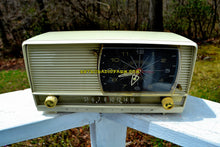 画像をギャラリービューアに読み込む, SOLD! - July 28, 2018 - ALL IVORY Mid Century Retro 1956 RCA Victor 9-C-7LE Tube AM Clock Radio Totally Restored and Sounds Great! - [product_type} - RCA Victor - Retro Radio Farm