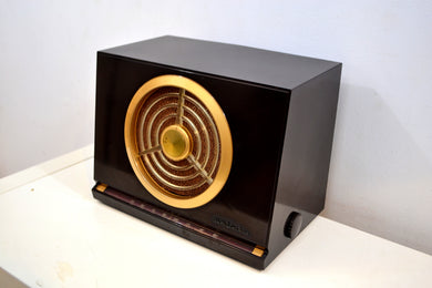 Magnificent Brown Bakelite 1950 RCA Victor Model 9X561 Vacuum Tube AM Radio Best Sounding Radio!