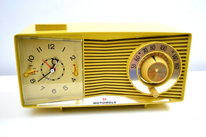 Harvest Gold 1963 Motorola Model C3S2 Vacuum Tube AM Clock Radio Near Mint Condition! - [product_type} - Motorola - Retro Radio Farm