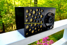 Charger l&#39;image dans la galerie, SOLD! - May 17, 2018 - EBONY SWISS CHEESE 1953 Crosley Model JT-3  AM Tube Radio Sounds Great Looks Unique! - [product_type} - Crosley - Retro Radio Farm