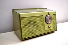 Load image into Gallery viewer, Olive Green 1955 Zenith Model F510 AM Vacuum Tube Radio Excellent Condition! - [product_type} - Zenith - Retro Radio Farm