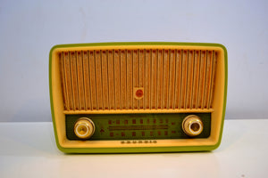 Lime Green West German Made 1956 Grundig Model 85 Vacuum Tube Radio Rare and Beautiful Condition!