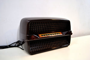 SOLD! - Sept 23, 2019 - Walnut Bakelite Vintage 1949 Philco Model 49-505 AM Radio Flawless and Sounds Amazing! - [product_type} - Philco - Retro Radio Farm