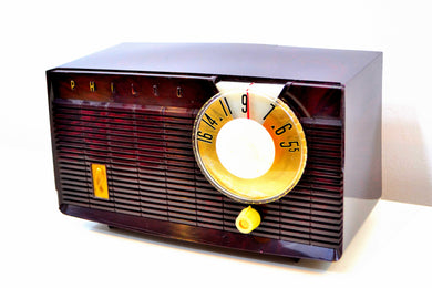 SOLD! - Sept 1, 2019 - Mocha Swirl Mid Century Vintage 1958 Philco E-814-124 AM Tube Radio Sounds Great!