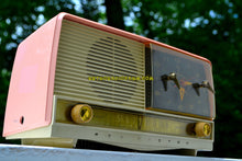 画像をギャラリービューアに読み込む, SOLD! - Sept 18, 2018 - Beautiful Powder Pink And White Retro Jetsons 1956 RCA Victor 9-C-71 Tube AM Clock Radio Works Great! - [product_type} - RCA Victor - Retro Radio Farm