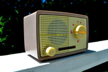 Charger l&#39;image dans la galerie, SOLD! - Dec 3, 2018 - 1959 Taupe Midget Alrad Japanese Post War Tube AM Radio! It&#39;s Rad! - [product_type} - Alrad - Retro Radio Farm
