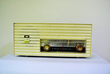 画像をギャラリービューアに読み込む, AM FM Baby Blue and White 1963 Philco Model L926-124 Tube Radio Rare Functional With Issues - [product_type} - Philco - Retro Radio Farm