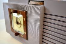 画像をギャラリービューアに読み込む, SOLD! - Nov. 14, 2019 - Lavender Taupe Art Deco Vintage 1948 Telechron Model 8H67 Musalarm AM Clock Radio Works Great! - [product_type} - Telechron - Retro Radio Farm